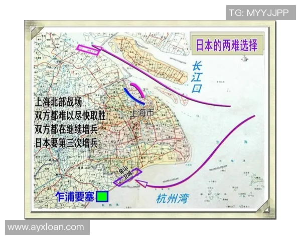 北京排球队战术解析：从技术细节到团队协作的全面探讨